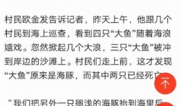 莆田案最新爆料